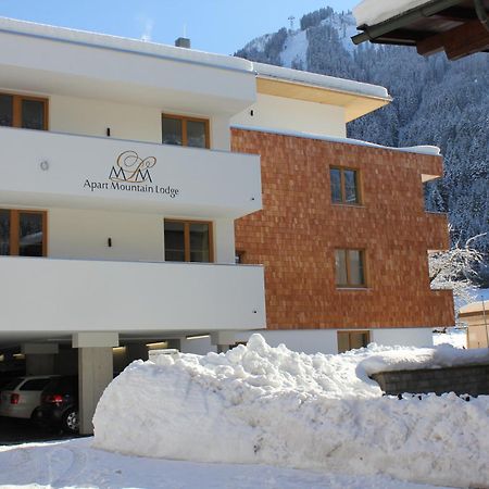 Apart Mountain Lodge マイヤーホーフェン エクステリア 写真
